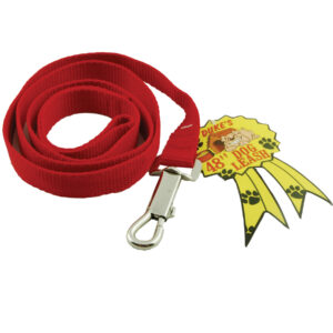 Dog Leash - 1" x 48"